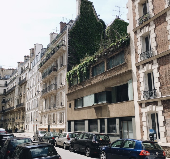 Processed with VSCO with a6 preset