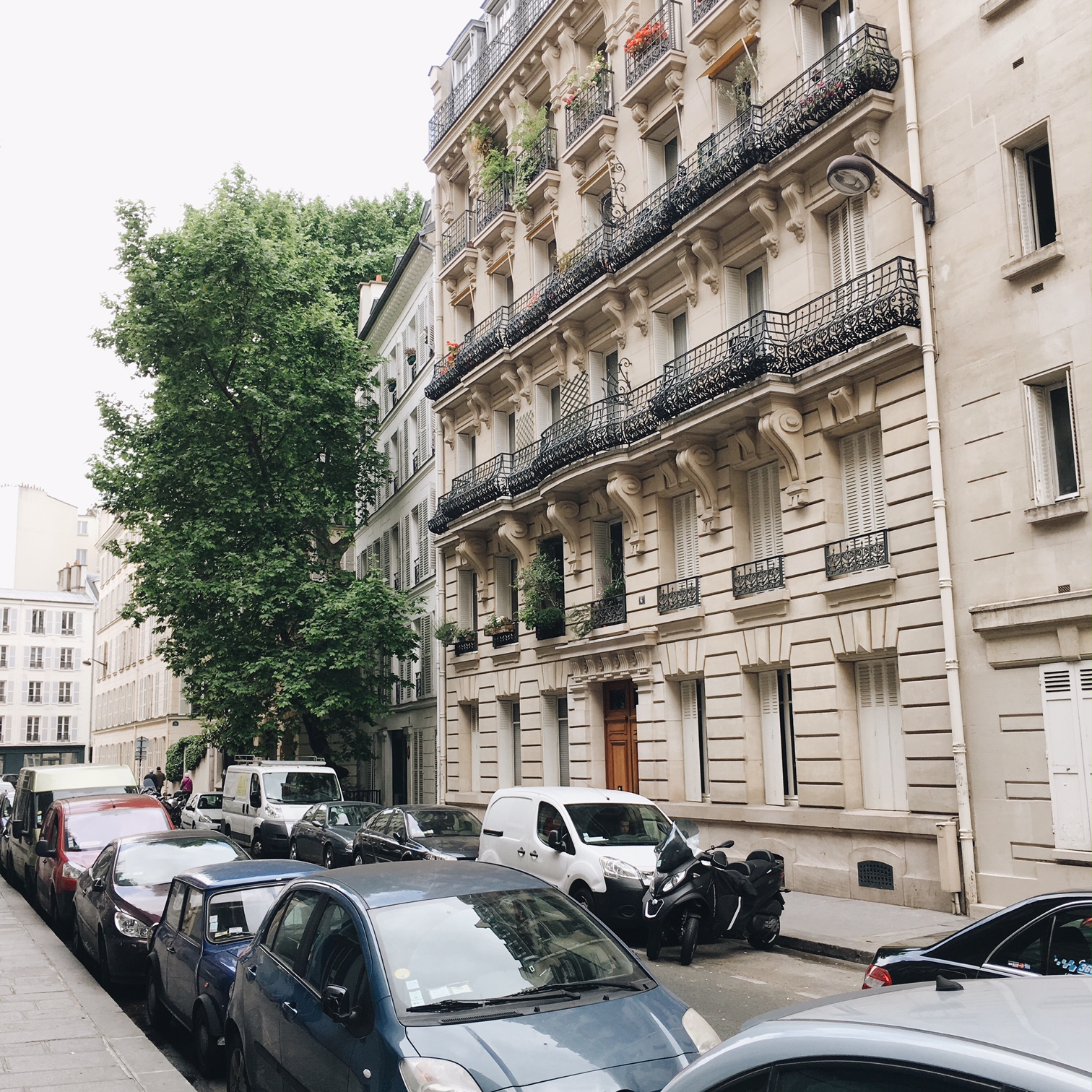 Processed with VSCO with a6 preset