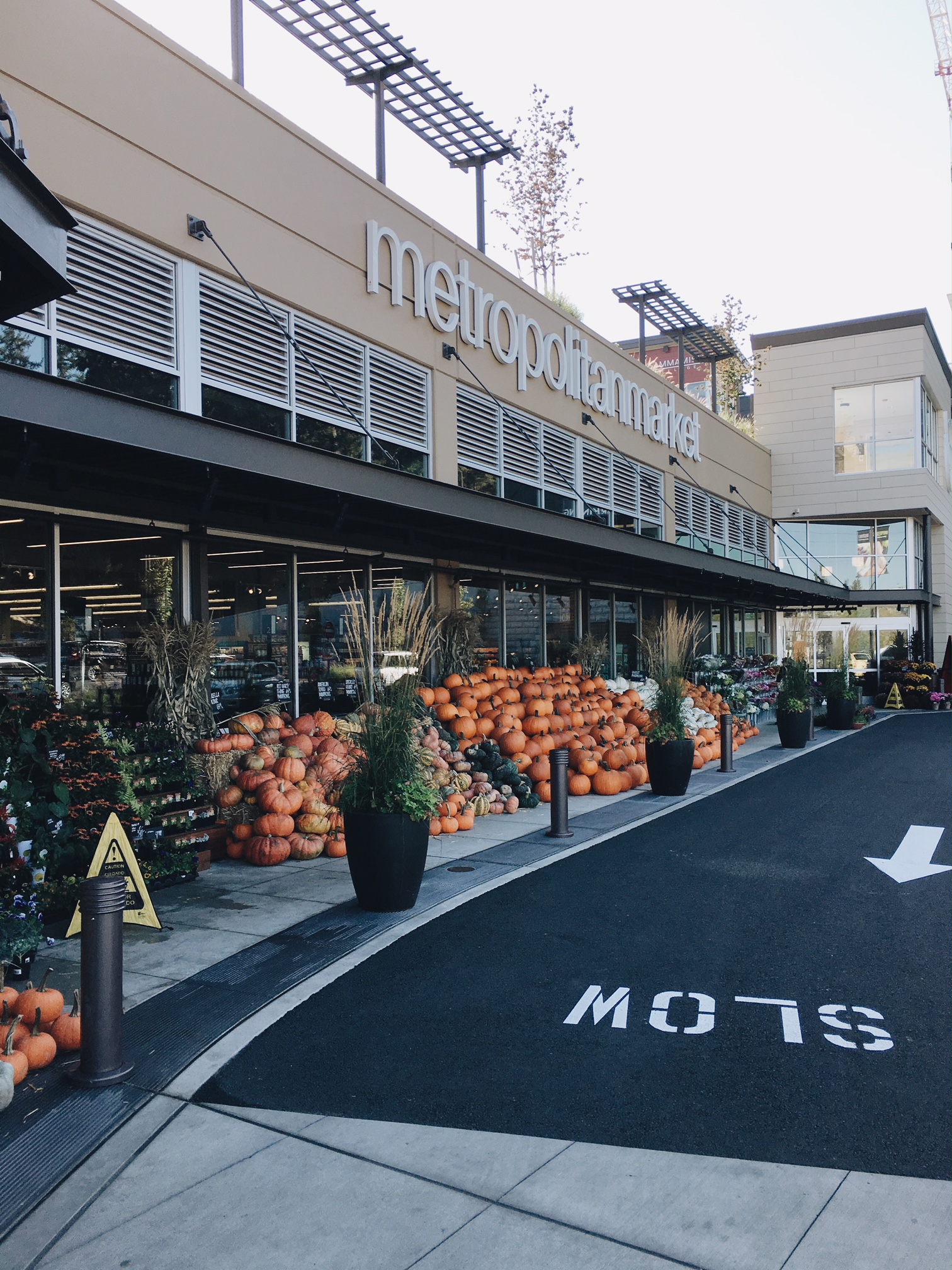 Processed with VSCO with a6 preset