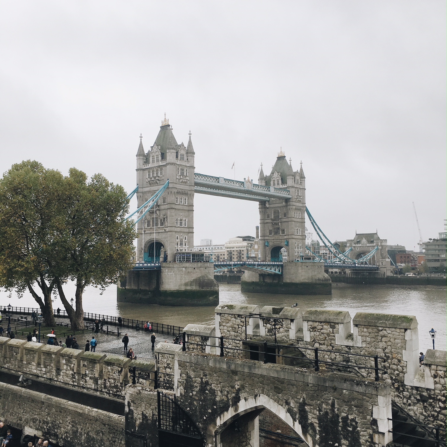 Processed with VSCO with a6 preset