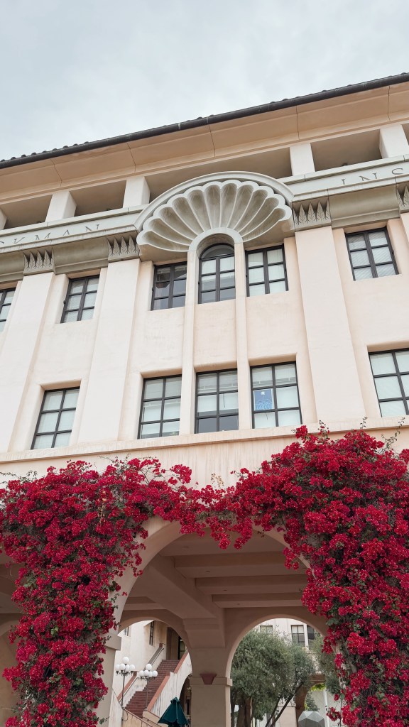 Bougainvilleas on the peristyle