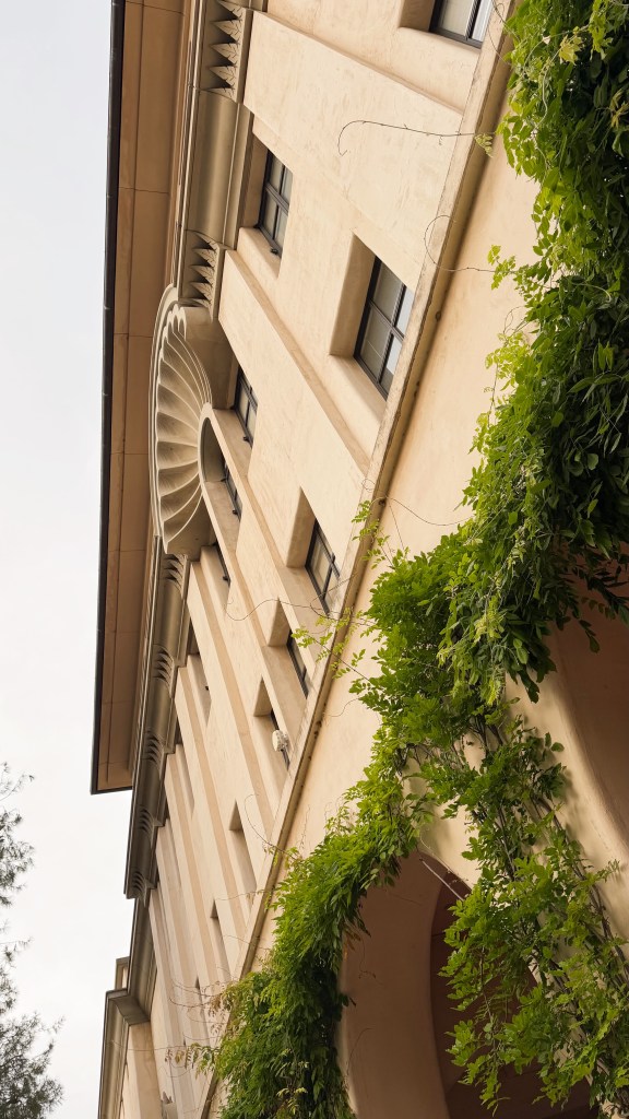 Wisteria trees on the peristyle